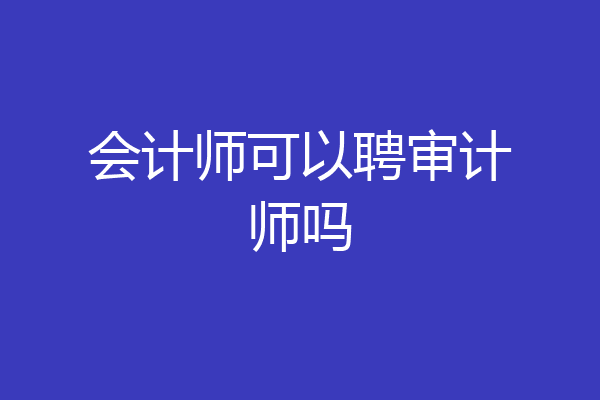 会计师可以聘审计师吗