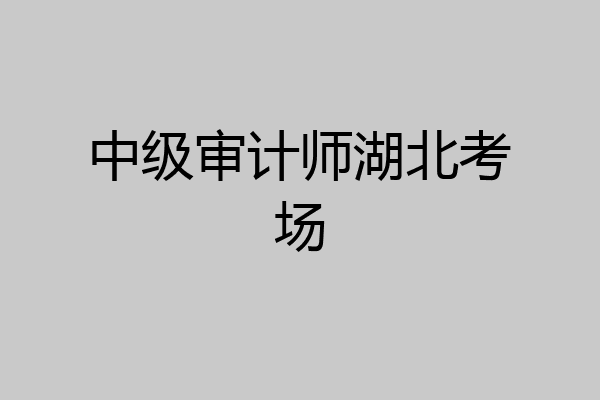 中级审计师湖北考场