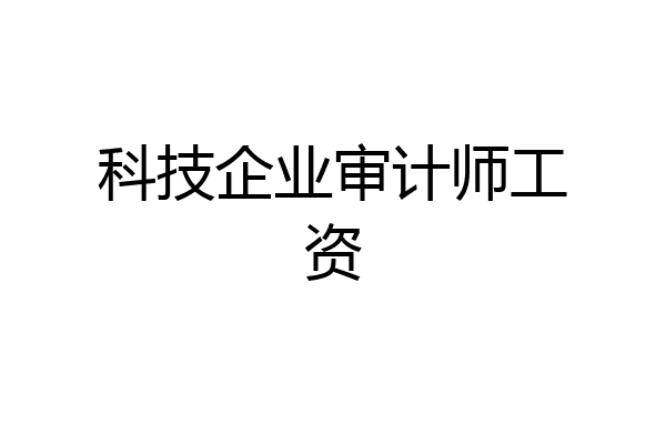 科技企业审计师工资