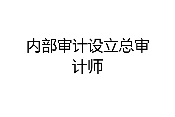 内部审计设立总审计师