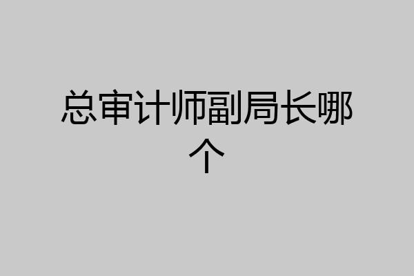 总审计师副局长哪个