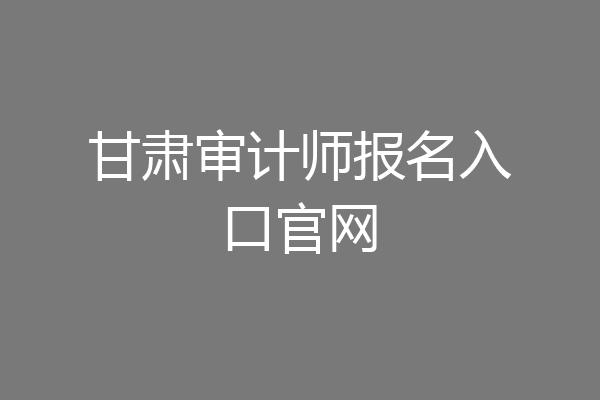 甘肃审计师报名入口官网
