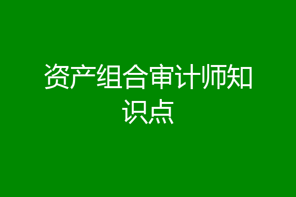 资产组合审计师知识点