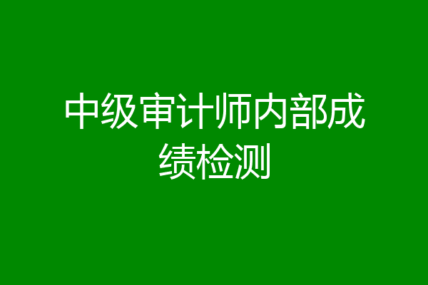 中级审计师内部成绩检测