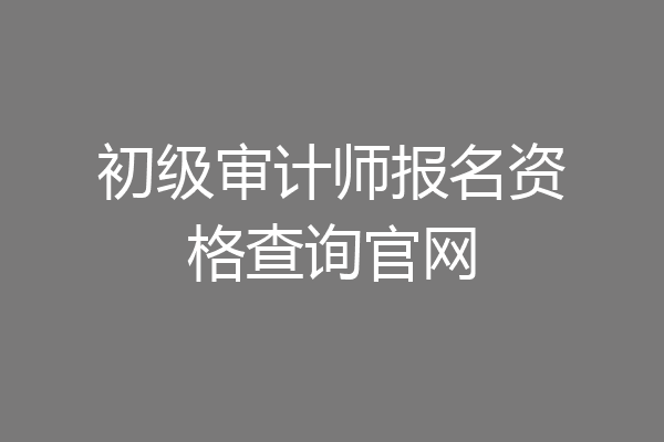 初级审计师报名资格查询官网