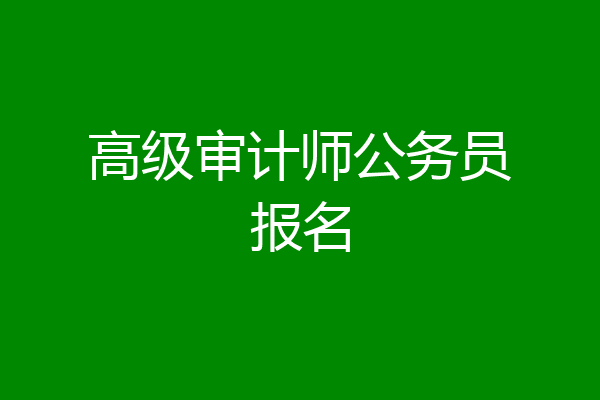 高级审计师公务员报名