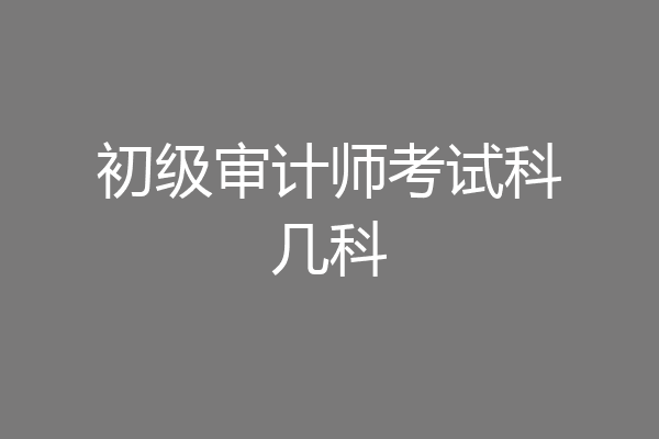 初级审计师考试科几科