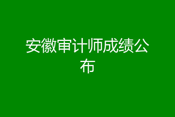 安徽审计师成绩公布