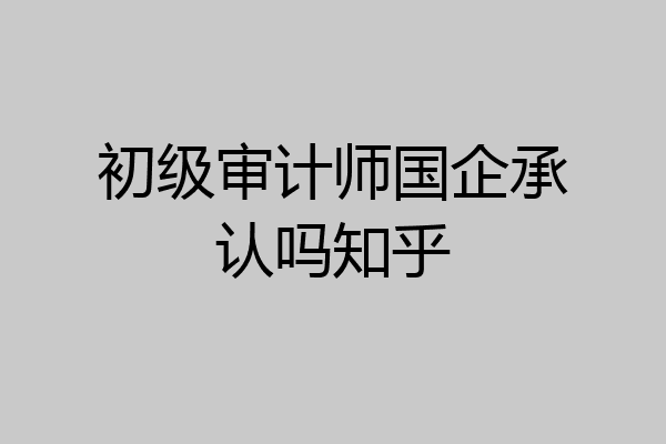 初级审计师国企承认吗知乎