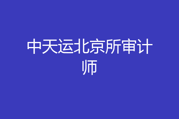中天运北京所审计师
