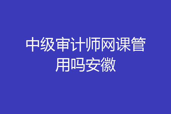 中级审计师网课管用吗安徽