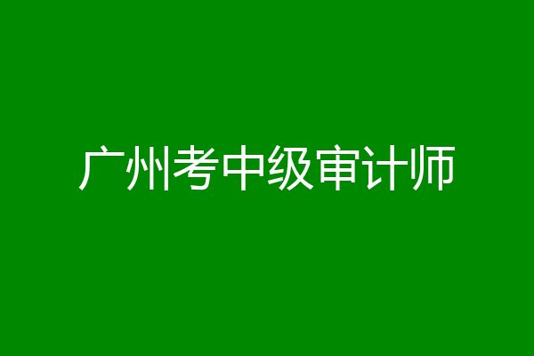 广州考中级审计师