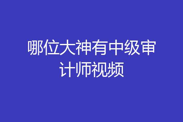 哪位大神有中级审计师视频