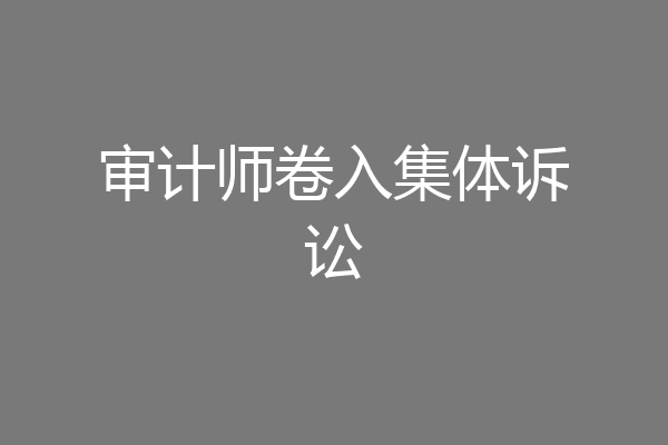 审计师卷入集体诉讼