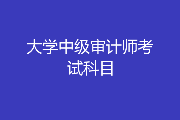 大学中级审计师考试科目