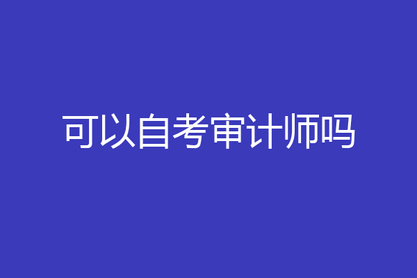 可以自考审计师吗
