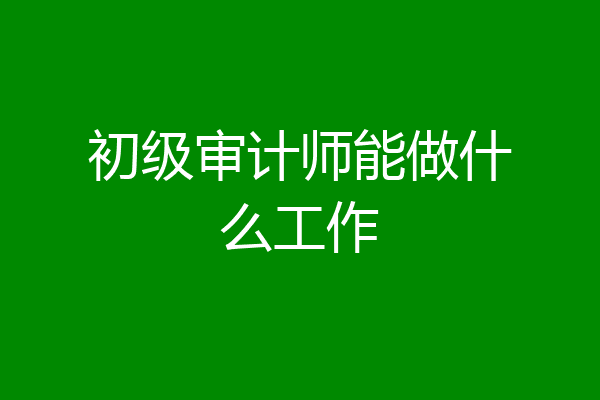 初级审计师能做什么工作
