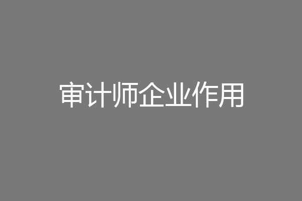 审计师企业作用