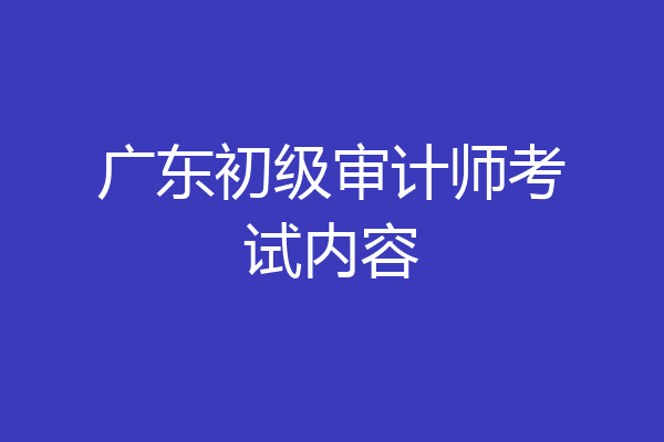 广东初级审计师考试内容