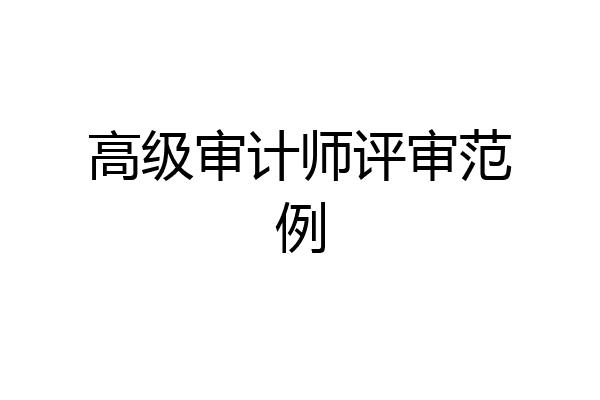 高级审计师评审范例