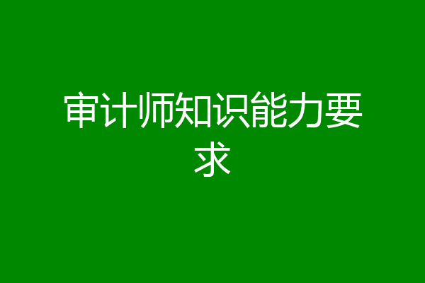审计师知识能力要求