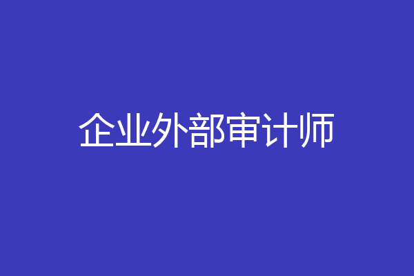 企业外部审计师