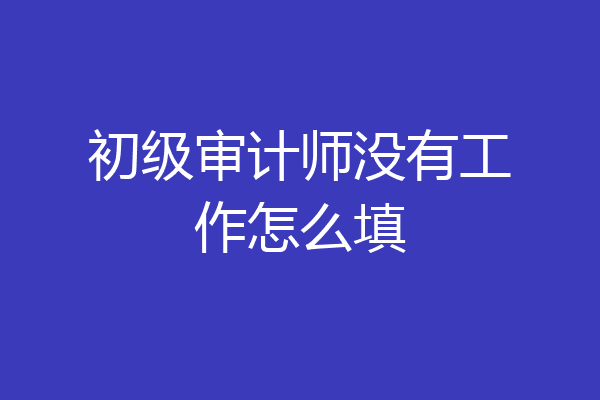 初级审计师没有工作怎么填