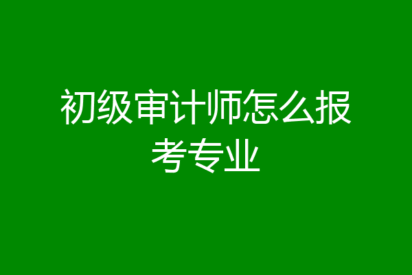 初级审计师怎么报考专业