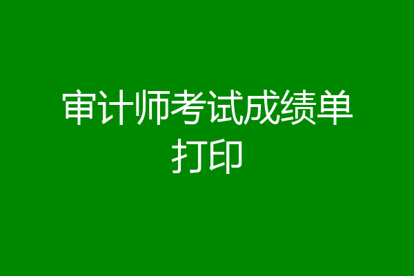 审计师考试成绩单打印