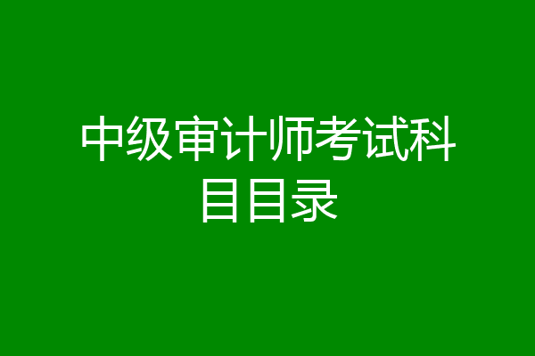 中级审计师考试科目目录