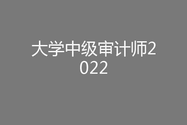 大学中级审计师2022