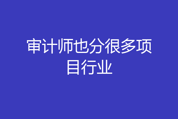 审计师也分很多项目行业