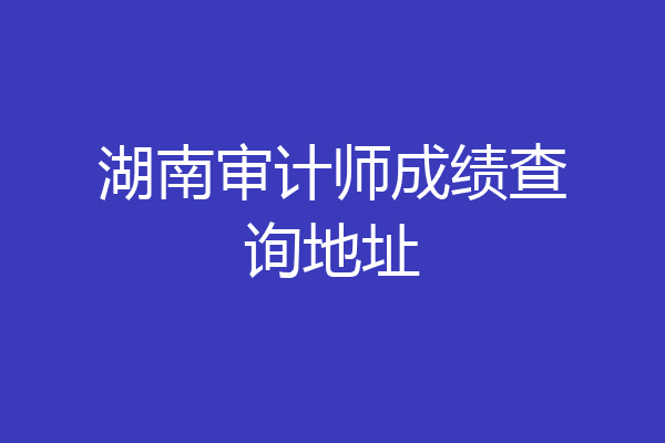 湖南审计师成绩查询地址