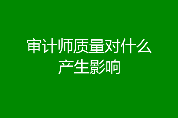 审计师质量对什么产生影响