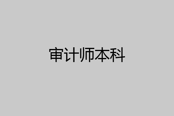 审计师本科