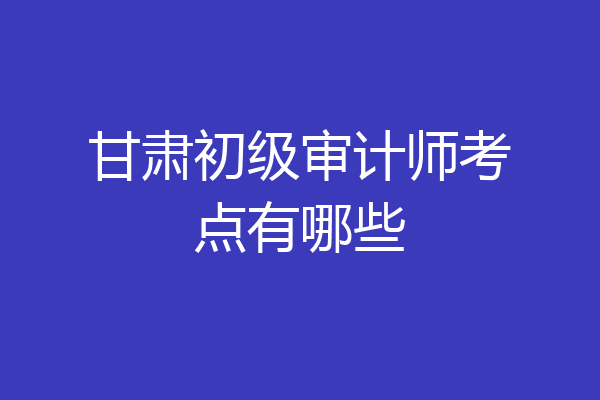 甘肃初级审计师考点有哪些
