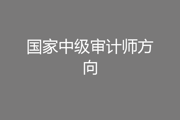 国家中级审计师方向