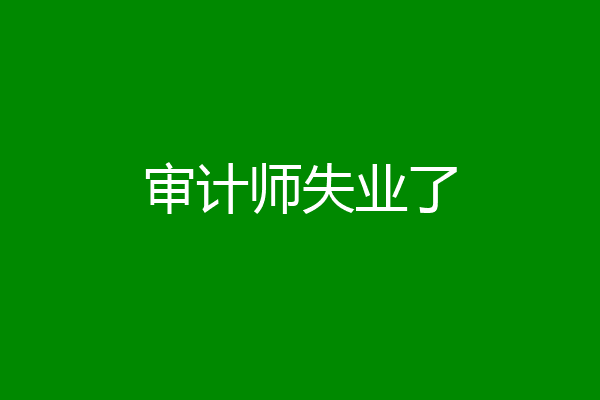 审计师失业了