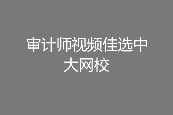 审计师视频佳选中大网校