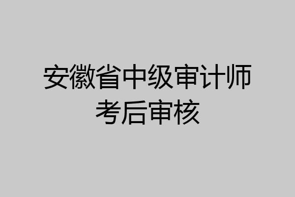 安徽省中级审计师考后审核