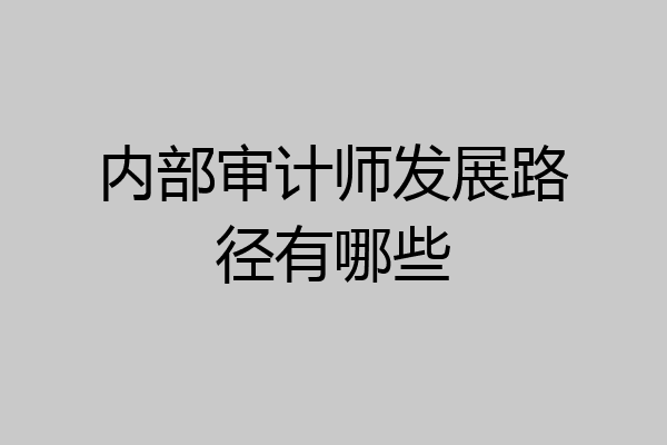 内部审计师发展路径有哪些