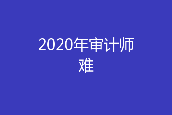 2020年审计师难