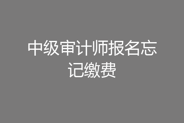 中级审计师报名忘记缴费
