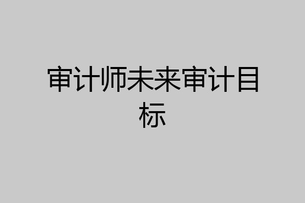 审计师未来审计目标
