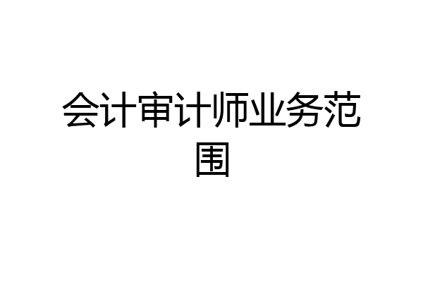 会计审计师业务范围