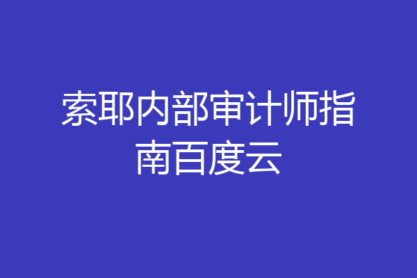 索耶内部审计师指南百度云