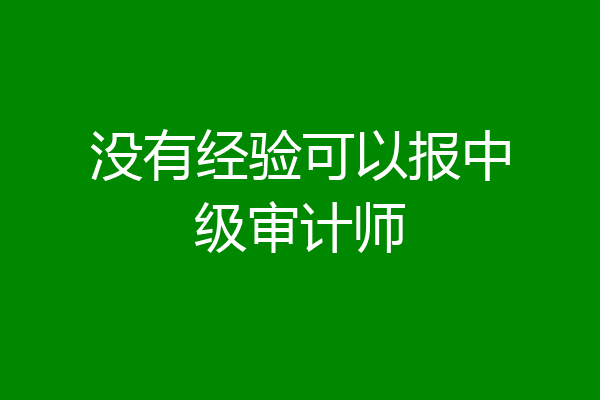 没有经验可以报中级审计师