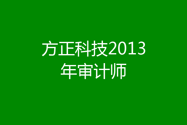 方正科技2013年审计师
