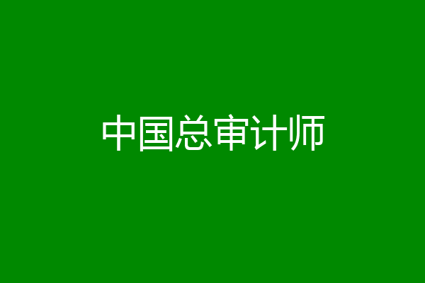 中国总审计师