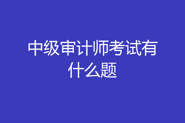 中级审计师考试有什么题